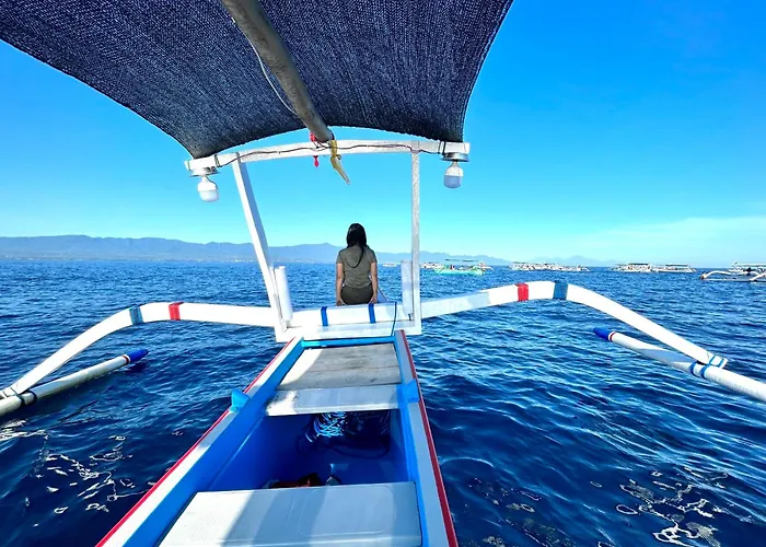 Dolphin Tour Private Packet At Seririt Banjar (Bali)