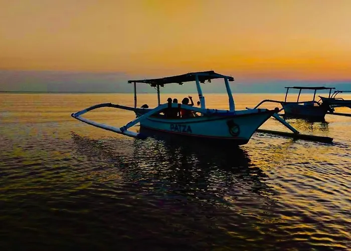 Dolphin Tour Private Packet At Seririt *