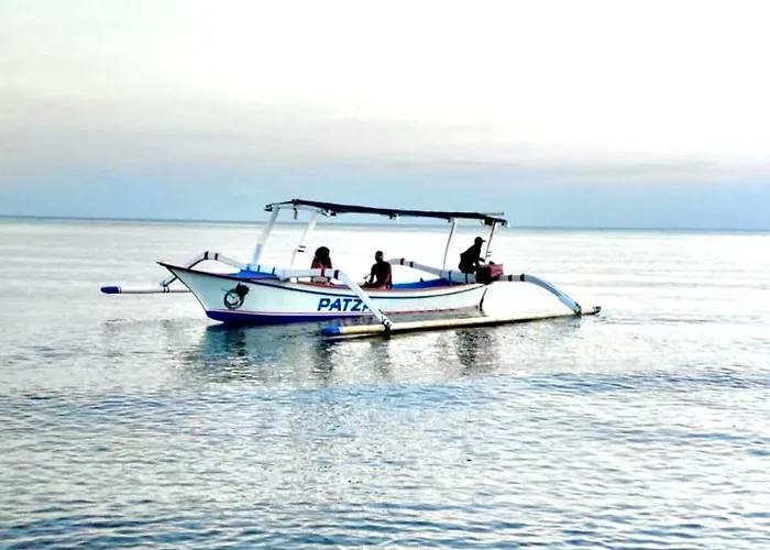 Dolphin Tour Private Packet At Seririt *