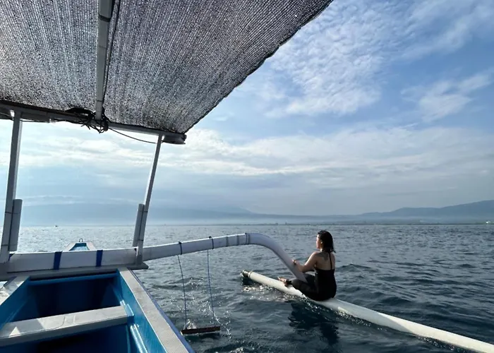 Dolphin Tour Private Packet At Seririt *