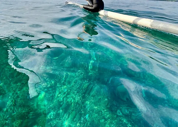 Dolphin Tour Private Packet At Seririt 别墅 *